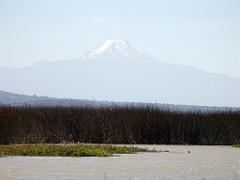 100302_Zacatec 054
